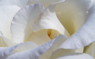 5x Bloemen bij en na een uitvaart